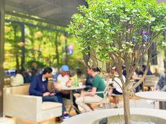 -大小咖啡 BigSmallCoffee(麦子店)