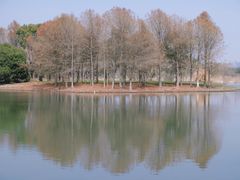 -贡湖湾湿地公园