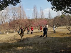 -南湖湿地公园