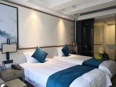 雅致市景标准房-杭州西湖东坡酒店