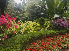 -广州花园酒店