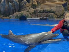 -芜湖新华联大白鲸海洋公园