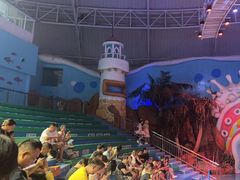 -烟台海昌鲸鲨海洋公园