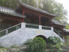 -广州神农草堂中医药博物馆