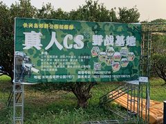 -上海长兴岛郊野公园