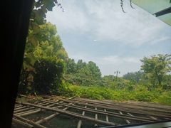-潮府馆·非遗潮州菜·港式点心(世纪公园店)