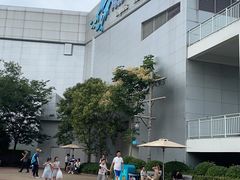 -上海海昌海洋公园