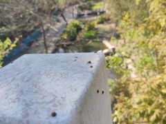 -白水寺森林公园