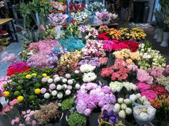 -双季花艺园艺市场(浦东店)