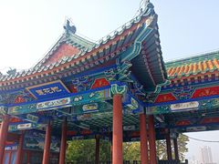-莲花池公园