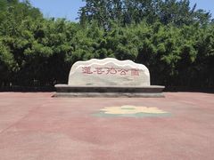 -莲花池公园