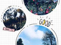 -重庆彩云湖湿地公园