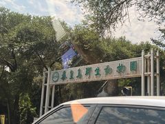 -秦皇岛野生动物园