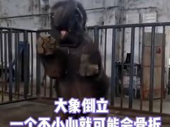 -昆明动物园