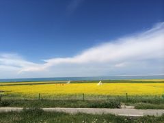 -青海湖国家重点风景名胜区