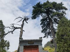 -妙峰山风景名胜区