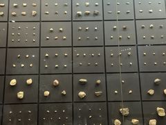 -北京周口店北京人遗址博物馆
