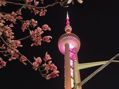 -东方明珠广播电视塔