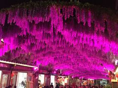 -婺源梦里老家大型山水实景演出