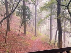 -四明山国家森林公园