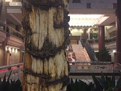 -全国人大会议中心