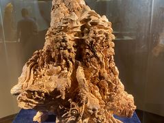-香市公园-中国沉香文化博物馆