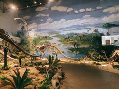 -自贡恐龙博物馆