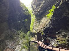 -牛背梁国家森林公园