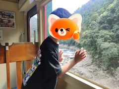 -岚山嵯峨野观光小火车