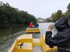 -平湖九龙山旅游度假区