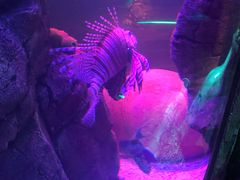 -沈阳海洋探索中心