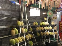 -都念榴莲·城市榴莲