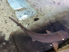 -鸿通城购物中心