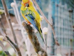 -吉隆坡雀鸟公园