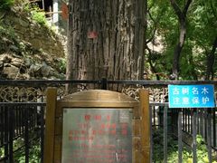 -北京上方山国家森林公园
