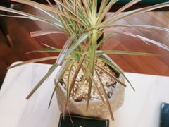 -宴昆山·私房菜(春晖店)