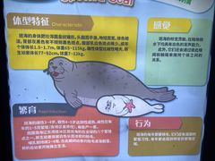 -上海海昌海洋公园-冰山北极馆