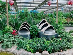 -南宫五洲植物乐园