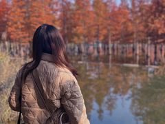 -白鹭湾湿地公园