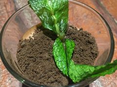 -望湘园·洞庭渔宴(永旺店)