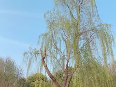 -堤角公园