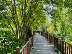 -北京麋鹿生态实验中心