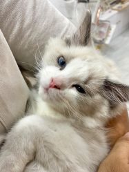 -花系美·美甲美睫精品店