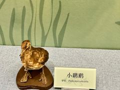 -陕西自然博物馆