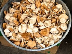 -昆明东站农贸市场