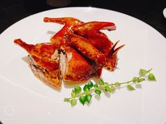 玻璃乳鸽-甄御•海鲜新青岛菜(麦岛店)