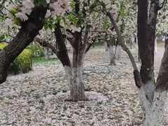 -元大都城垣遗址公园