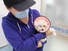 -爱诺动物医院(崂山店)
