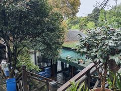 -张鸟园农家乐(张鸟园店)