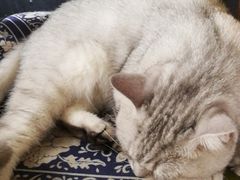 -不舍昼夜咖啡馆
